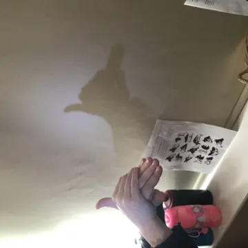 Shadow