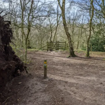 PXL_20220217_115539355