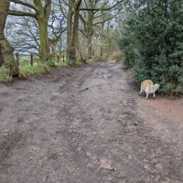 PXL_20220215_110605681-MP