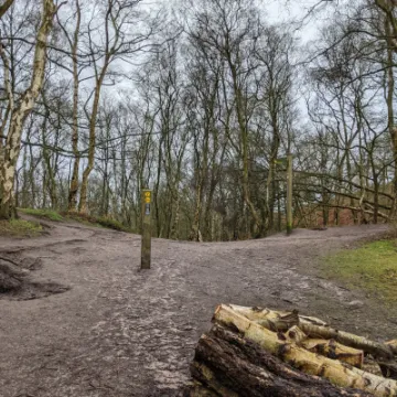 PXL_20220215_113622030