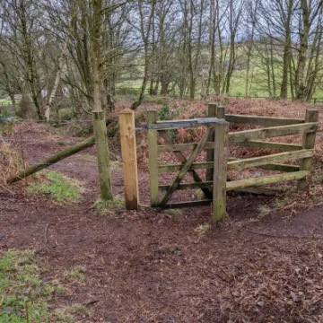 PXL_20220215_121045017