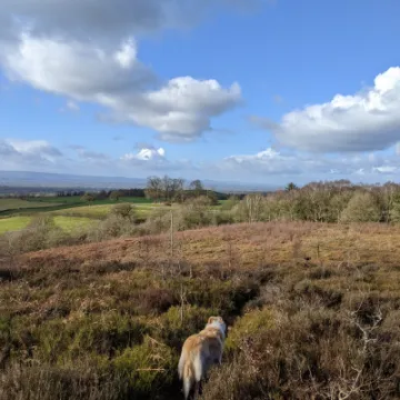 PXL_20220210_120820705