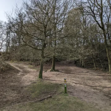 PXL_20220211_112330718-MP