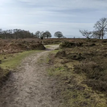 PXL_20220211_115636920-MP