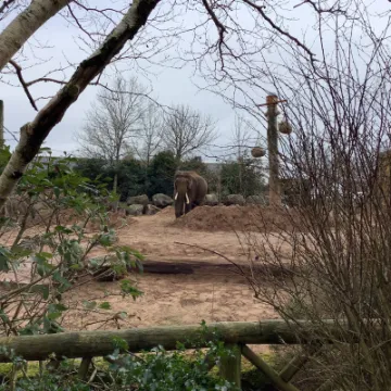 7A263E82-AB6E-4C8B-9C5E-1A91D4ED8DB7