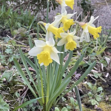 B808A32C-F82D-4597-8F50-936ED2CAA623