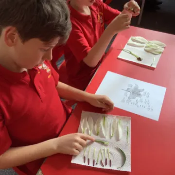 40F37B0F-B4D4-47E9-965B-0A3EDBF7CCA0