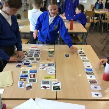 CCF69401-F8C3-4F4C-A487-86F94024319E