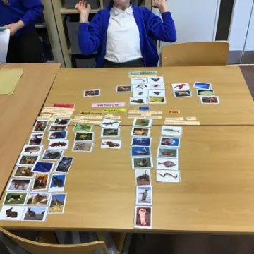 3BBD1729-3CDB-407D-A072-00FCDA191D68