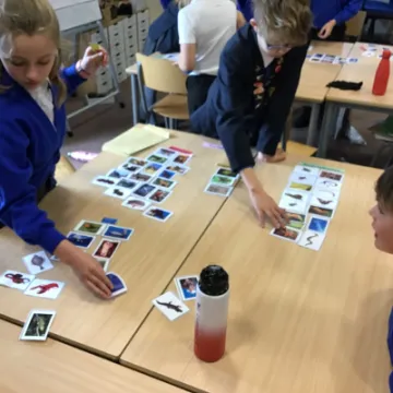 433785E5-2D11-4B1A-9B5D-993C4A7973A0