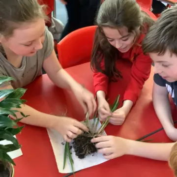 328981B4-DBC7-48C2-AEB7-04E3B4545D05