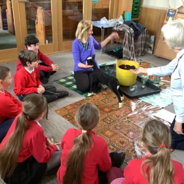 7B514046-60B8-4CC7-A20C-2BE8394296BB