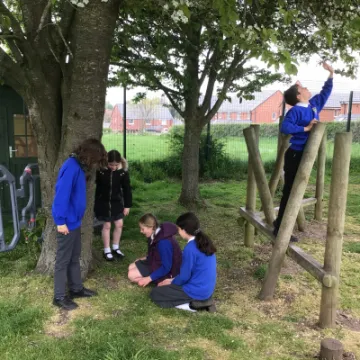 A3DB368A-D991-412D-9EE4-2A1EE5C832B7