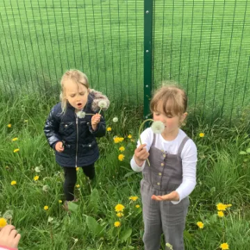 02A74086-0BB0-4178-94A8-1E0C23AE34B6