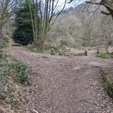 PXL_20220321_110940647