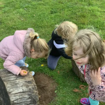 7910468D-0494-42A8-BFE7-3B99627BD654