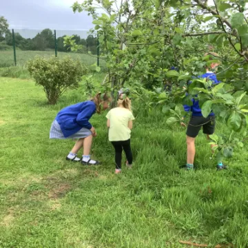 518D783D-3A4D-4E99-A9FA-CF398D9F835F