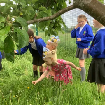 1C4D2C1A-9173-42C5-9D14-F6D6871EB06E