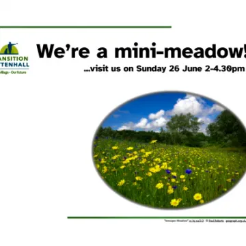 B66A1132-3EF3-44E1-817C-360F5E71C9F2