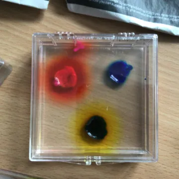 2B4A39FF-557F-4FA0-B6FE-F346C2ECC1FC