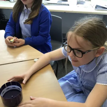 F2275583-8544-41B6-8854-0D4BC261C347