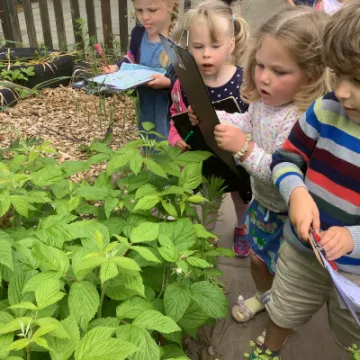 24C98672-E436-459A-9C8C-FEA8201EDFAC