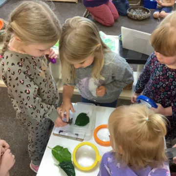 E59410ED-4ED1-4ED1-B110-F214B607929A