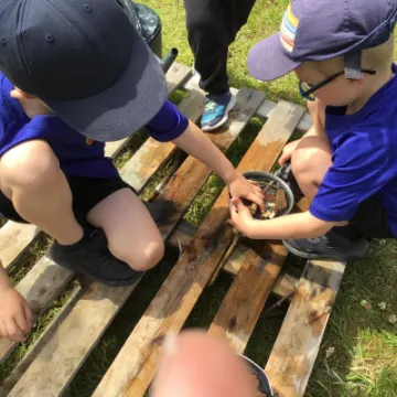 1C3A2CC5-D29B-48A3-9820-03E387AB032C