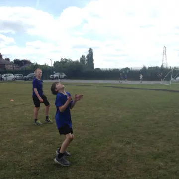 IMG 3960