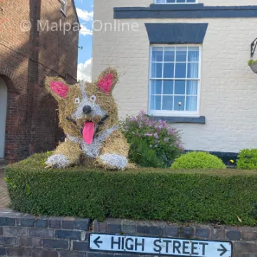 Corgi