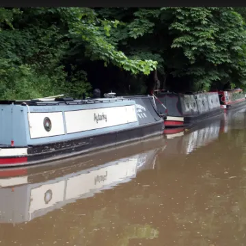 Screen Shot 2022-06-19 at 11-35-21