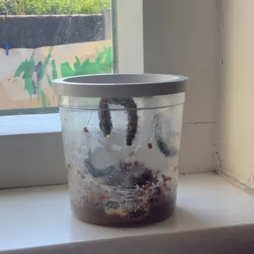 477C98F4-C5AF-4659-AD07-62F9E23F7984