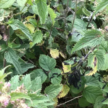 0B9CDBC0-6CA4-4884-A2F6-E51AEC8C80D3