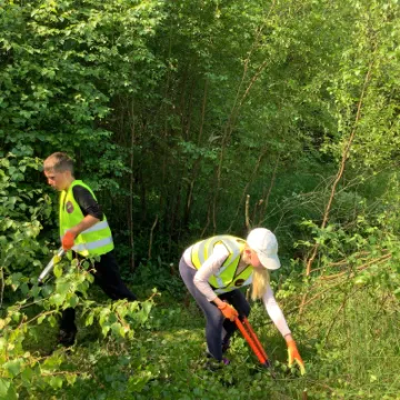 6BA5349A-7D74-4A3B-BE56-CAAF4CFF700E