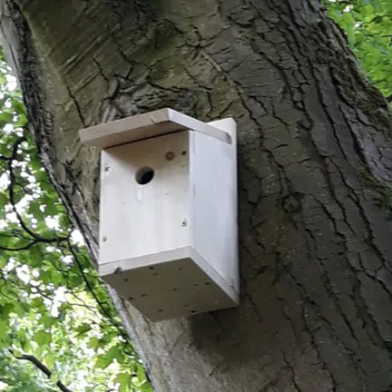 Eco Church 2