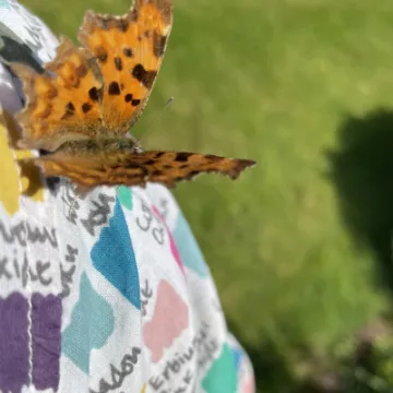 72D7EB21-4721-46FA-81AA-F5A3E55E80AA