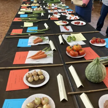 THS 2022 Veg IMG_0127[358009]