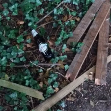 CWT Bird Hide Damage August 2022  3