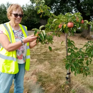 Saxon Heath Apple Tree 3_9_2022