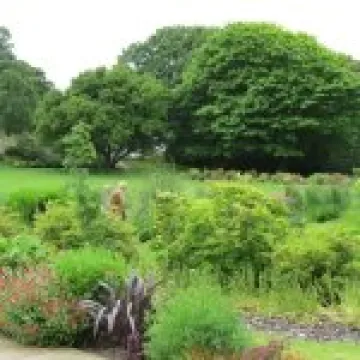 Ness Gardens jpg21