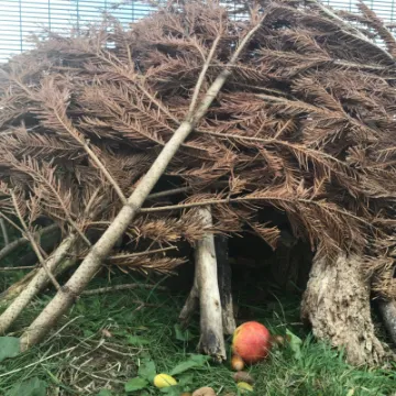 1E29D57F-5AB2-45C1-B3D2-99D20577933A