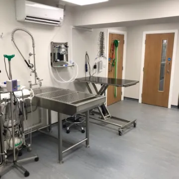 Sands vets 4