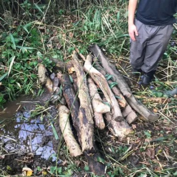 a07da0f1-ef24-481f-87f1-181c16cdd575