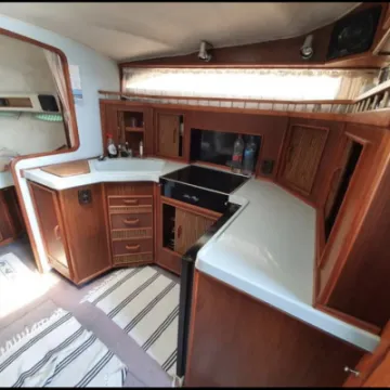 Searay8