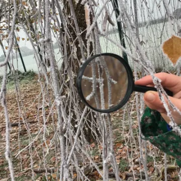 4D27BBFA-C12E-4F87-9AE6-6B114DD23F77