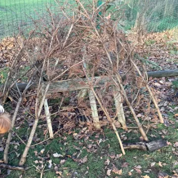 D5EAA865-3838-4D0A-8B88-FD898A87CCAC