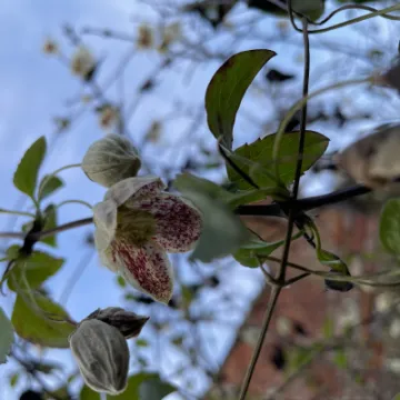 88B4E5F7-9F57-4DF7-8CD7-C176FE539D23