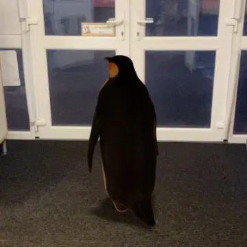 86B8A409-8D08-41D2-B33A-D2E316117E7C