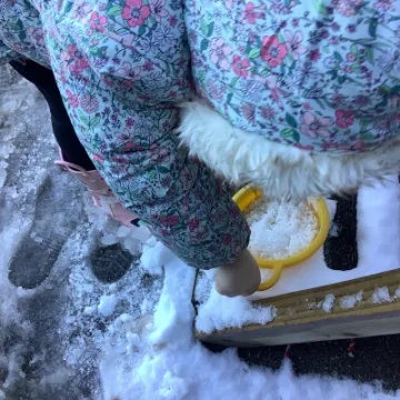 3037A384-DFB3-4F96-ADE0-F957EA93A4C4