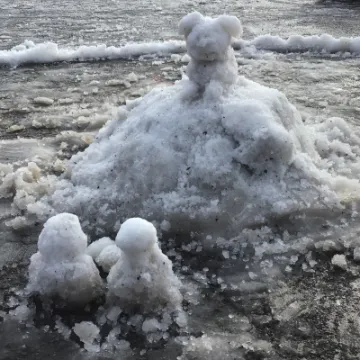 63467C32-8446-4930-A6AB-98FED85BDD3A